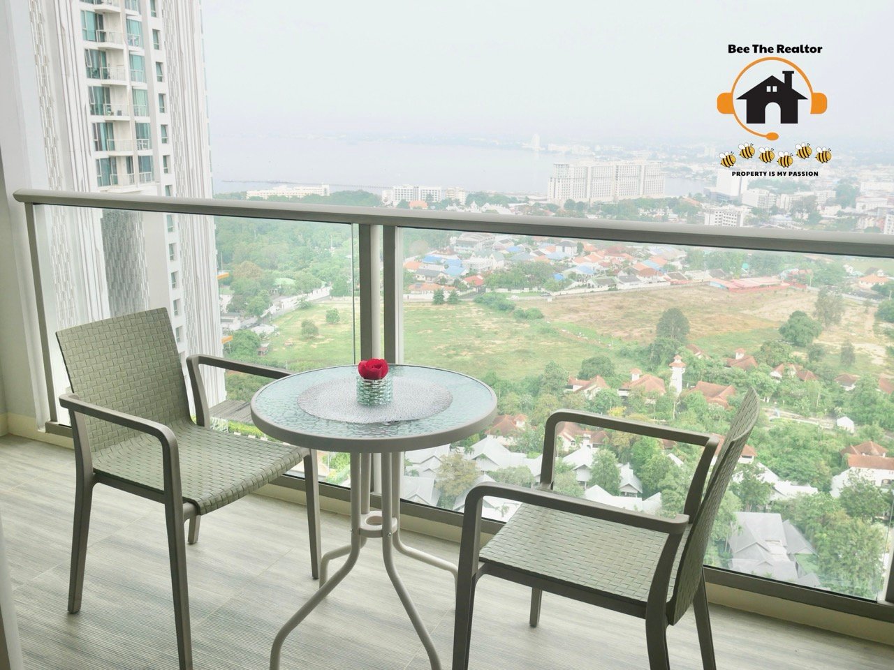 25681113-195033587-(W) 2 Large